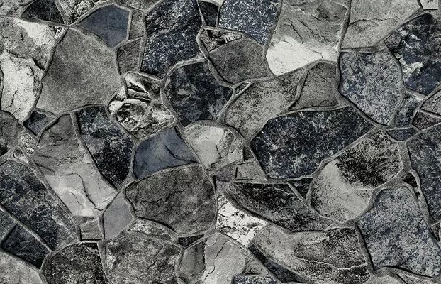 Gray Butterfly XL FF