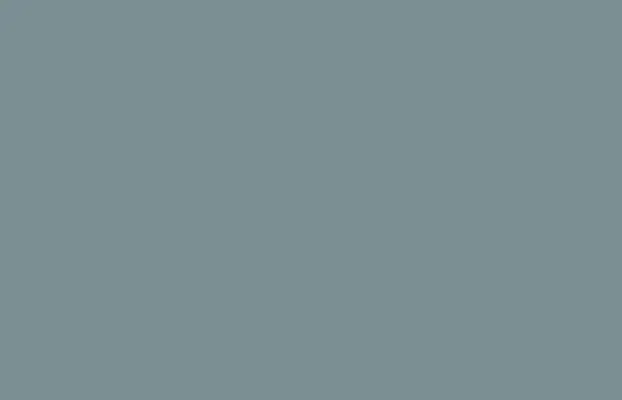 Solid Dark Gray FF