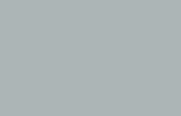 Solid Light Gray FF