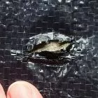 Cover with a hole to be fixed with Patch Kit for Winter Covers