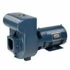 Pentair Sta-Rite D Series Cast Iron Inground Pumps