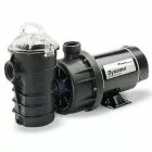 Pentair Dynamo Pool Pump, 115V, 3/4 HP