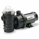 Pentair Dynamo Pool Pump, 115V, 1.5 HP