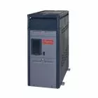 Raypak Model 156 Digital Control 150,000 BTU, Natural Gas