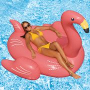 ILP Flamingo Float