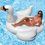 ILP Swan Float