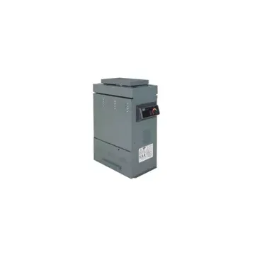 Raypak 105B-Brass Heater