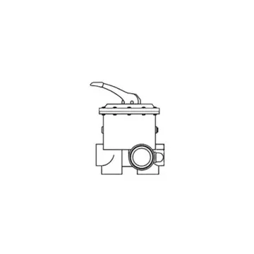 Pentair 2" Multi-Port Side Mount: P-Series