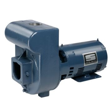 Pentair Sta-Rite D Series Cast Iron Inground Pumps