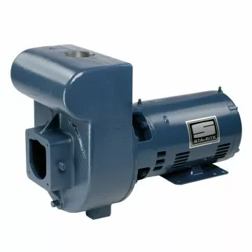 Pentair Sta-Rite D Series Cast Iron Inground Pumps