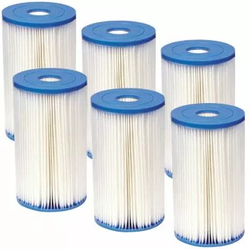 Intex Large Replacement Cartridge B, 6 Pack