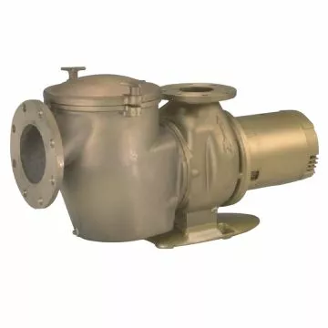 Pentair Commercial Bronze Single Phase Inground Pool Pump with Hair and Lint Pot, 230V, 5 HP 