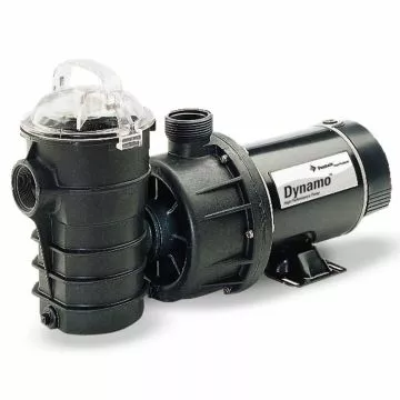 Pentair Dynamo Pool Pump, 115V, 1.5 HP