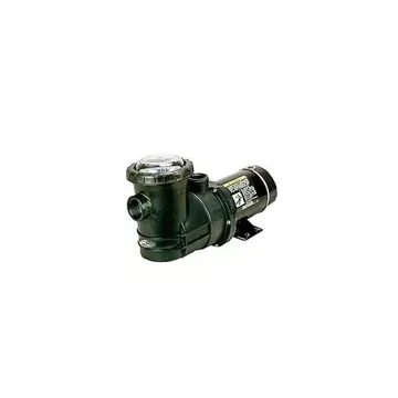 Astral Sena Inground Pump