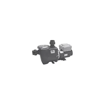 Waterway Econo-Flo 2 Speed Pump