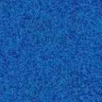 Cobalt Cypress FF
