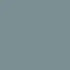 Solid Dark Gray FF