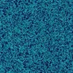 Teal Caribbean FF