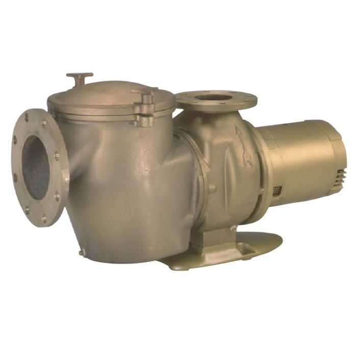 Pentair Commercial Bronze Single Phase Inground Pool Pump with Hair and Lint Pot, 230V, 5 HP Pentair Commercial Bronze Single Phase Inground Pool Pump with Hair and Lint Pot, 230V, 5 HP