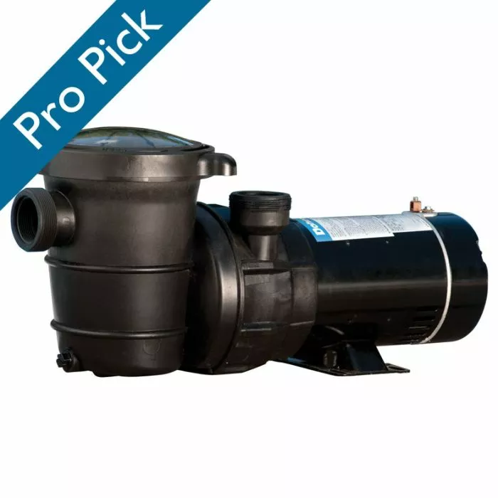A.H.P.L ahpl ナッティダディ Doheny's Inground Pool Pump, 115/230V, 1.5 HP | Doheny's