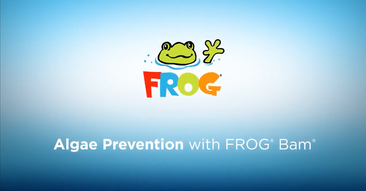 How to Prevent Algae in Your Pool with FROG Bam