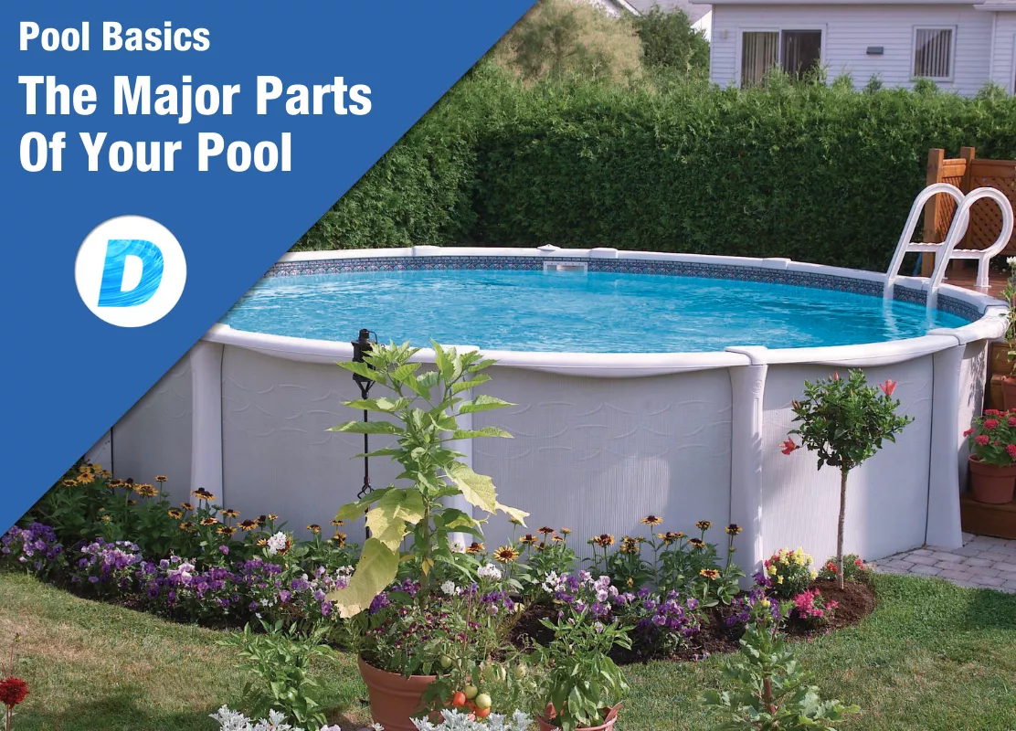 All the Parts of Your Swimming Pool | Doheny’s | Doheny's