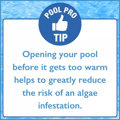 Pool Pro Tip: Open your pool before the water gets too warm to help prevent algae growth.