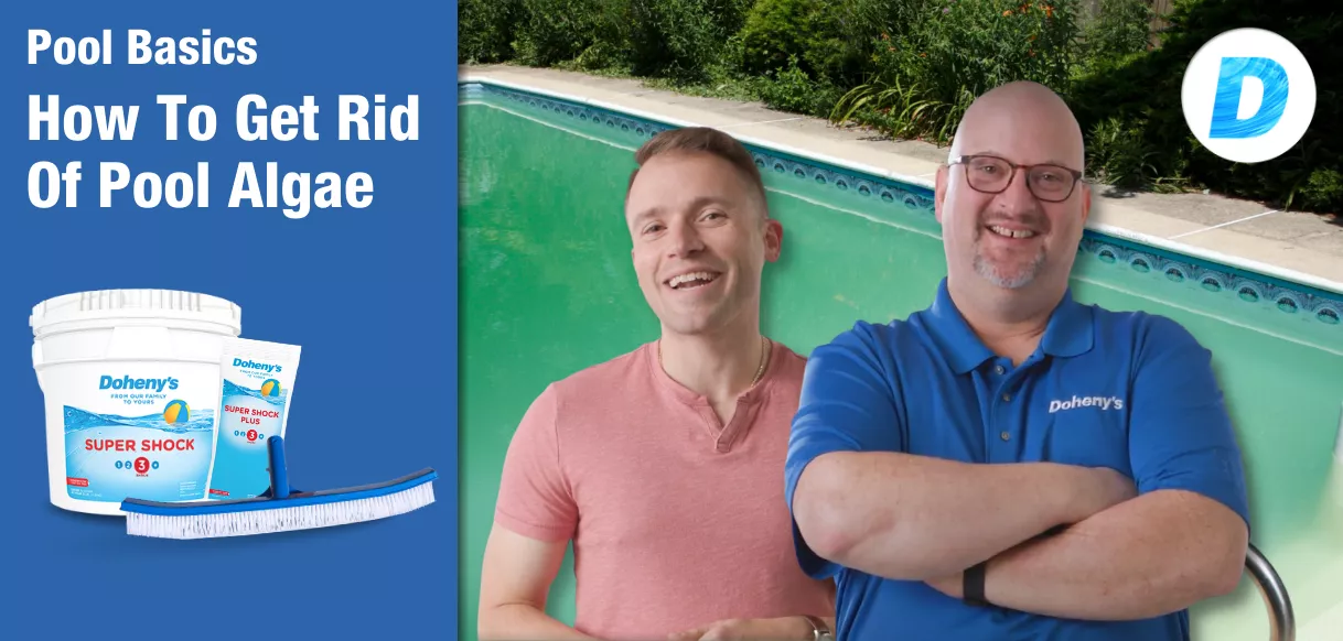 How to Get Rid of Pool Algae